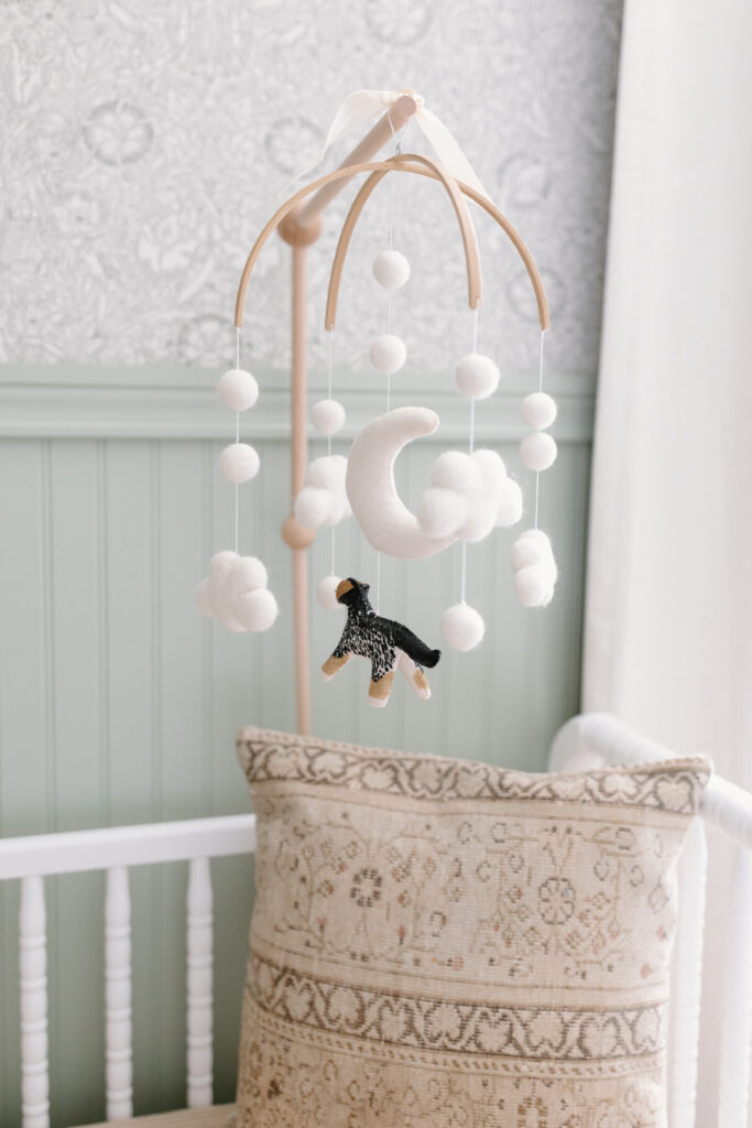 detail photo of custom dog mobile during newborn photos in Fishers, IN