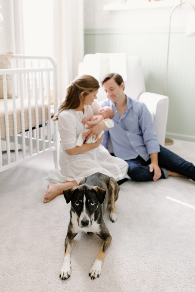 parents holding baby and dog lying in front during newborn photos in Fishers, IN