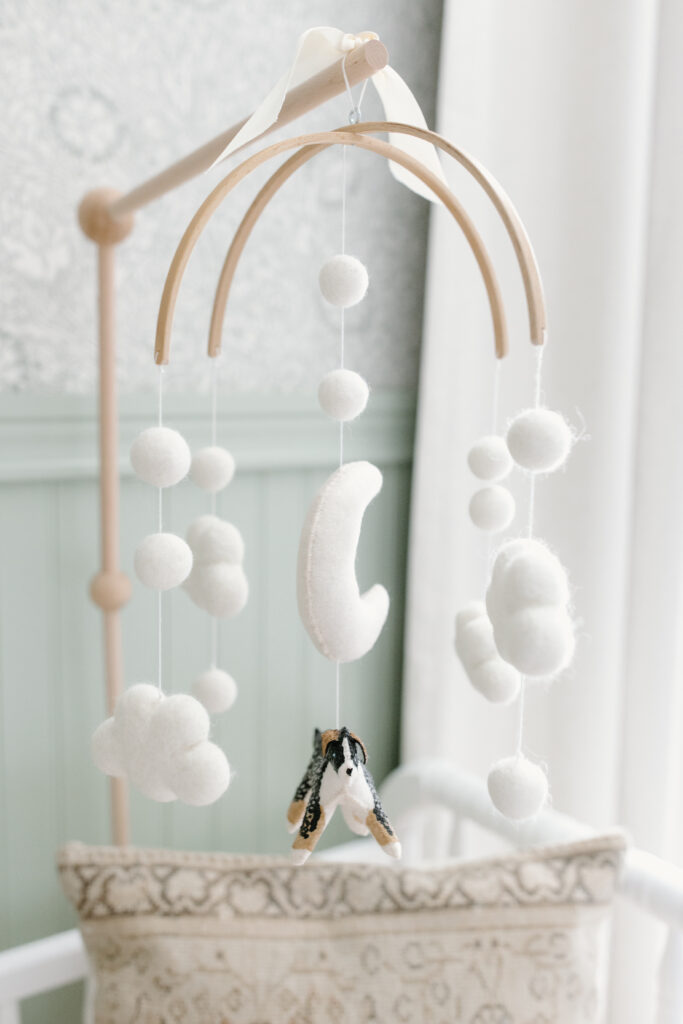 detail photo of dog mobile during newborn photos in Fishers, IN