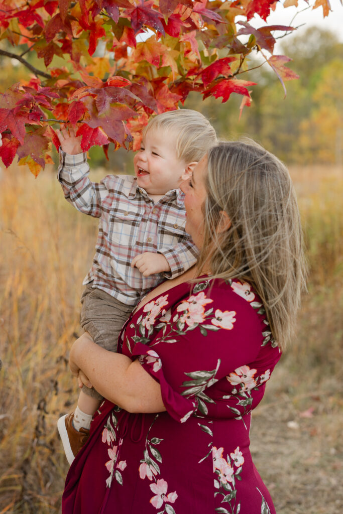 Little boy picking leaves from tree during Fall Mini Sessions at West Park with Capturing Simplicity Photography